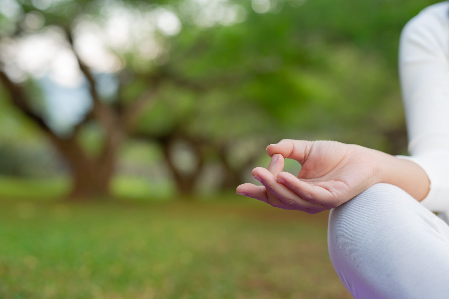 Free Corporate & IT Health Awareness workshops